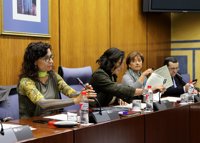 Montero niega "negligencia" en el caso Nevada: "Había motivo para paralizar la obra"