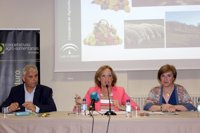 Ayudas por 3,3 millones para fomentar la fusión e integración de entidades asociativas agrarias