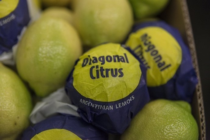 Lemons ready for export sit in a cardboard box at the Diagonal Citrus Srl packin