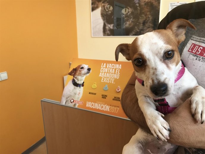 Maggie, protagonista de la campaña de El Refugio