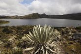 Foto: España desarrollará políticas de conservación y cambio climático con parques nacionales de Colombia y Perú