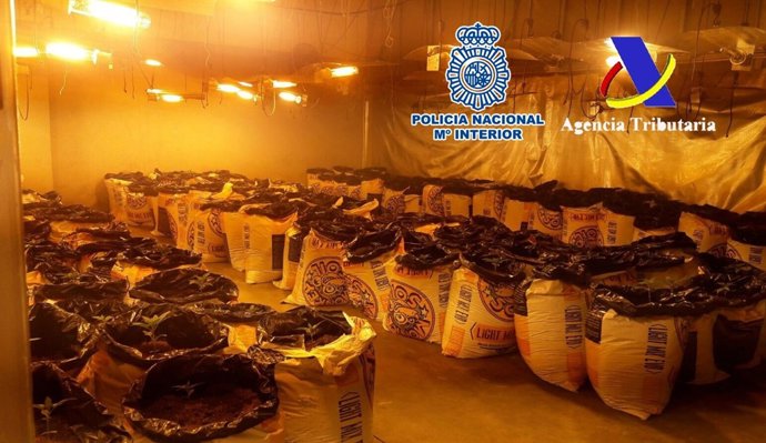 12 Detinguts D'Una Xarxa De Narcos