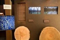 La Obra Social 'la Caixa' lleva a Huesca la exposición 'El bosque. Mucho más que madera'
