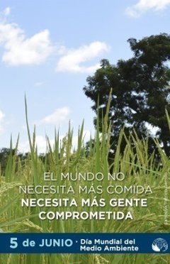 Cooperación y Desarrollo