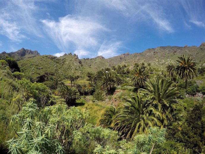 Parque Rural de Anaga