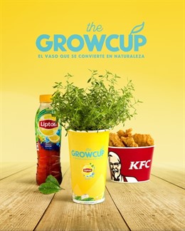 VASO QUE SE CONVIERTE EN NATURALEZA