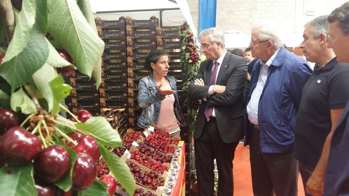  Olona Ha Inaugurado La II Feria De La Cereza Y El Ajo Tierno De Ricla.