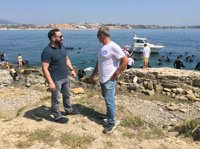 Recogen 240 kilos de plomo y otros metales en una limpieza de fondos marinos en La Ballenera, en Algeciras (Cádiz)