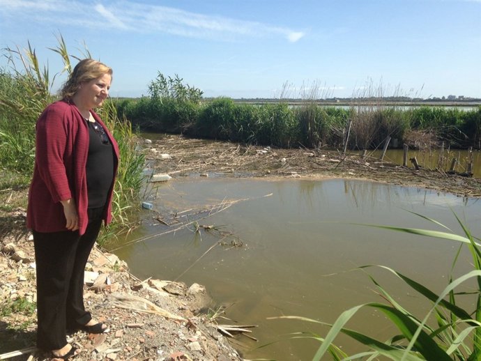 M.ª Àngels Ramón- Llin 
