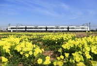 Metrovalencia y el TRAM de Alicante evitaron en 2016 la emisión de más de 90.000 toneladas de CO2