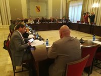 Círculo de Economía pide a diputados y senadores hacer "frente común" para la reforma del sistema de financiación