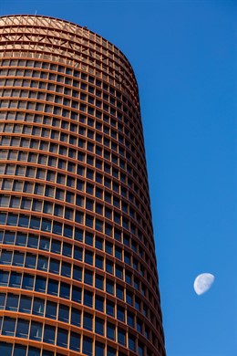 Imagen de la Torre Sevilla