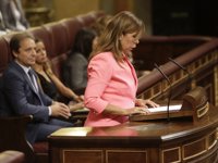 Sánchez-Camacho lamenta la "hispanofòbia" del discurs independentista