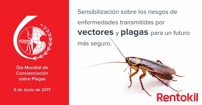 Cucaracha en el Día Mundial de concienciación de plagas
