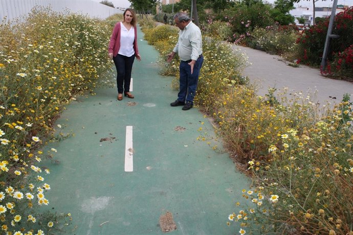 Np Y Fotos Iu Ve En El Plan Integral De Palmete Un “Parche Más” Que No Servirá P