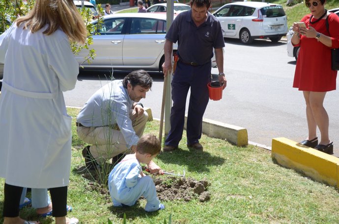 Plantación por pacientes infantiles