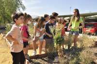 La Universidad de Jaén celebra el Día Mundial del Medio Ambiente con talleres para escolares en su eco-huerto