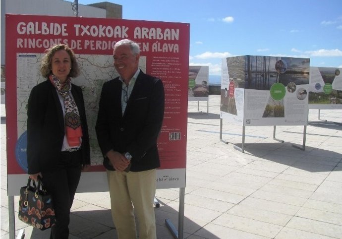 Exposición al aire libre en Laguardia 