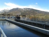 El Gobierno de Aragón incorporará a 35 trabajadores del IAA como personal laboral a extinguir