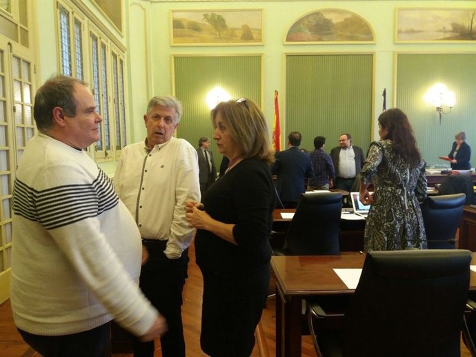 Fanny Tur en la comparecencia en la comisión el pasado 9 de diciembre