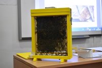 El CPEI de la Diputación de Badajoz organiza una jornada formativa sobre el rescate por abejas y avispas