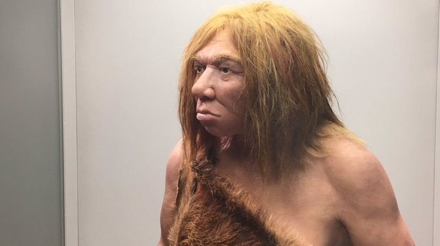 Recreación de una mujer neandertal 