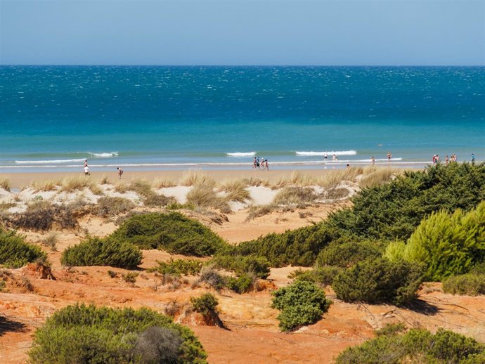 Playa de La Barrosa, lugar de celebración del festival