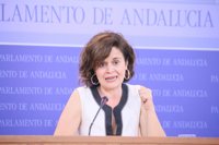 Podemos acusa a Susana Díaz de "no tomarse en serio" la Ley de Memoria con su propuesta de Valderas como Comisionado