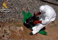 Condenado a un año y dos meses de prisión un vecino de Usagre por golpear hasta la muerte a cinco galgos