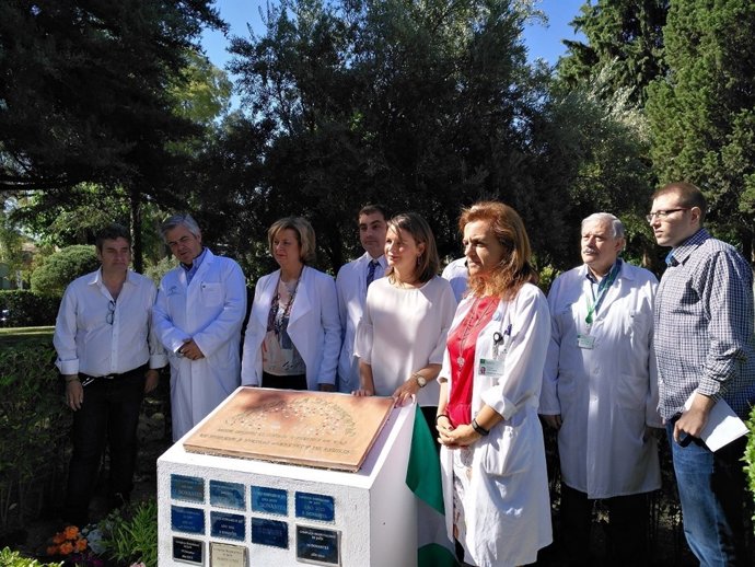 Conmemoración del Día del Donante