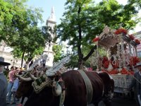 Unidos Podemos pregunta en el Congreso por el trato a animales en El Rocío