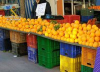 Detenidas cinco personas por sustraer más de 1.000 kilos de naranjas de explotaciones de Murcia