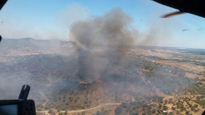 Incendio declarado en un paraje de El Almendro. 