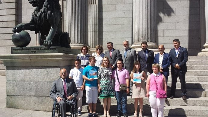 Down España en el Congreso