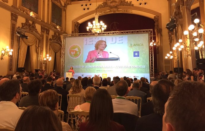 Carmen Ortiz, durante su intervención en el congreso