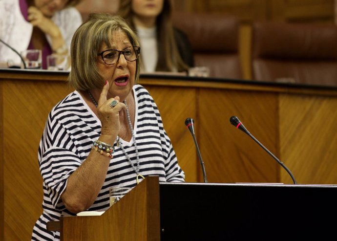 La consejera de Educación, Adelaida de la Calle, en el Pleno del Parlamento