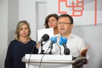 El PSOE critica que el Gobierno reconoce que "no está haciendo nada" por el cercanías a Marbella y Estepona