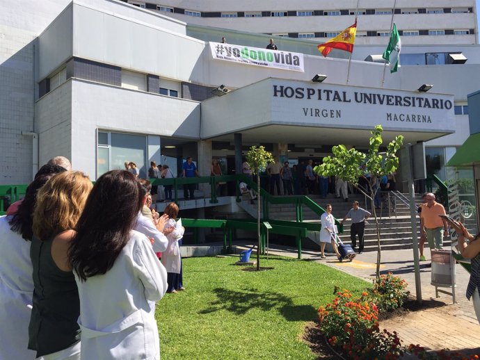 Nota De Prensa Hospital Virgen Macarena