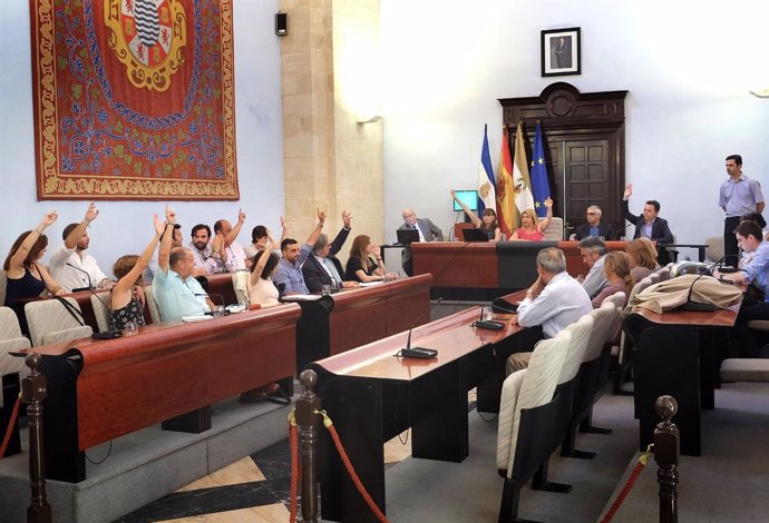 Pleno del Ayuntamiento de Jerez
