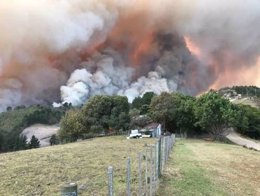 Evacuadas 10.000 personas de la localidad de Knysna a causa de varios incendios 