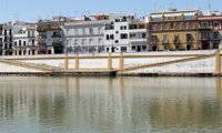 'Triana te quiere' lamenta "la desinformación existente" en el proceso de peatonalización de la calle Betis