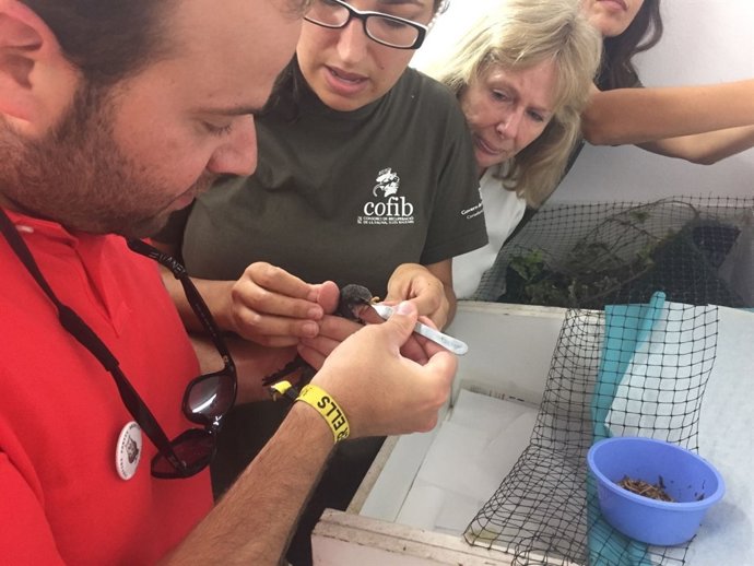 Puertas abiertas al Cofib