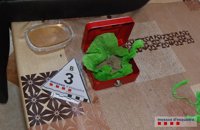 Desmantelado un punto de venta de droga en el barrio de Campclar de Tarragona