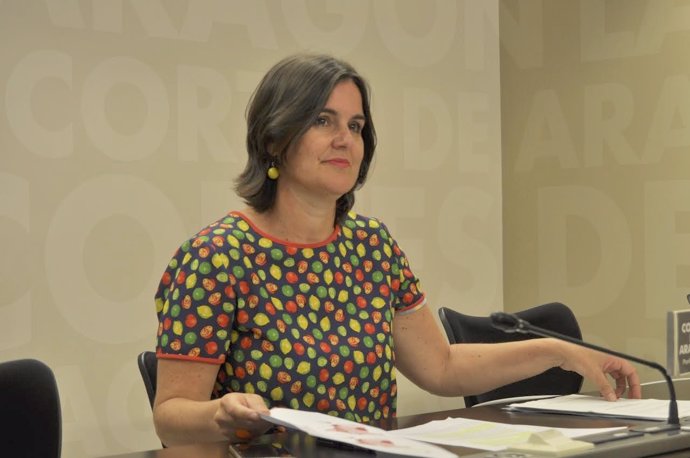 La portavoz de Hacienda del Grupo Parlamentario del PAR, Elena Allué.