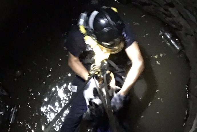 Los bomberos de Cartagena rescatan a un perro atrapado en un pozo de Calblanque
