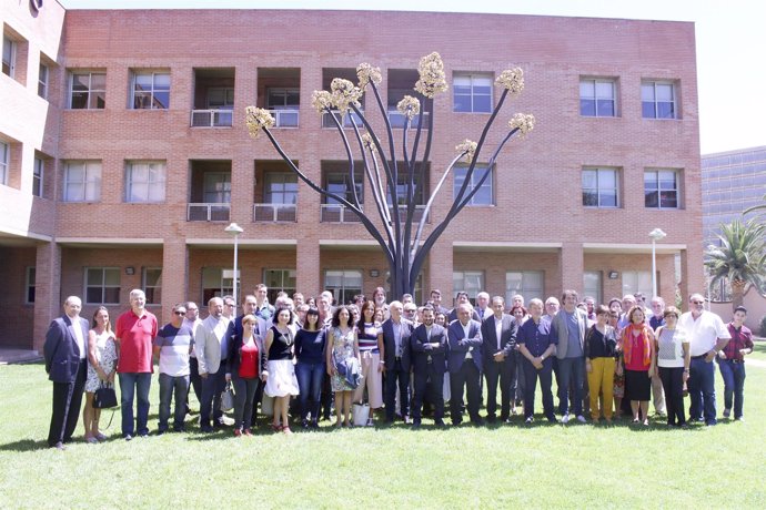 Acto de presentación proceso participación LIVE