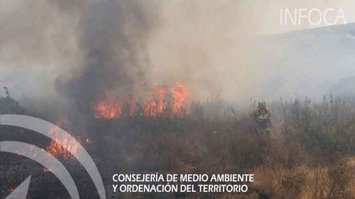 Efectivos del Infoca trabajan en la extinción de un incendio en Ayamonte