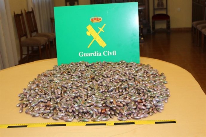 Imagen del hachís interceptado en la A-1