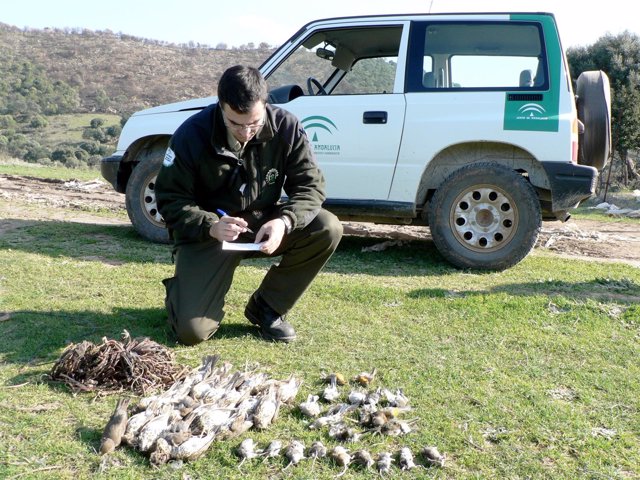 Agentes de Medio Ambiente de la Junta de Andalucía