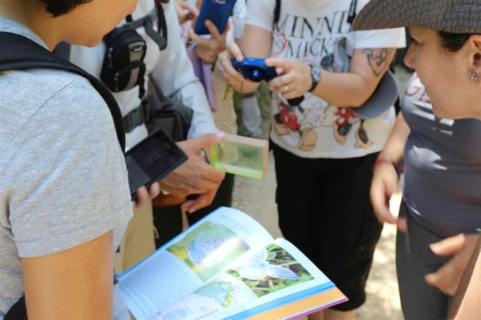 Diputación actividades sensibilización mariposas taller gran senda